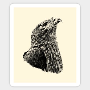 Steppe eagle Sticker